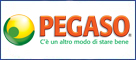 Pegaso